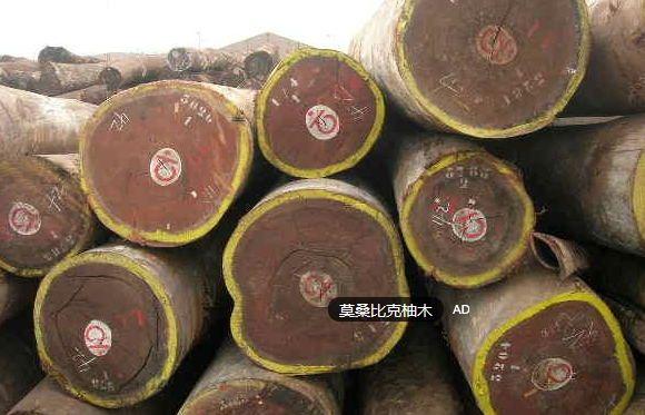 上海正山木材供应莫桑比克柚木原木产品图片,上海正山木材供应